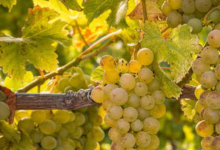 �й����Ѿ��������˾��������λ-welcome����֮����