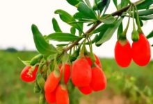 ����轾ơ����ұ�׼�����11����ʵʩ-welcome����֮����