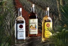 全球龙舌兰酒市场2029年将达155.7亿美元-welcome海洋之神网