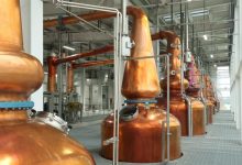 ����ɷ�11��19����Ʒ���������Ƴ���ʿ�ɳ�Ʒ��-welcome����֮����