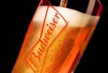 ������̫2025���ϰ���Ӫ��31.36����Ԫ������4.09����Ԫ-welcome����֮����