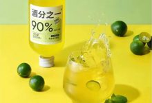 �Ʒ�֮һYoYo&Sophie���͹���ϵ������-welcome����֮����