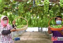 �������Ͻ���С���Ѵ���������˴��ҵ-welcome����֮����