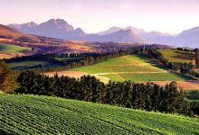 ���ĺ���ɽ��´���ѾƲ�ҵ�����ص㽨����Ŀ���ٽ�����-welcome����֮����