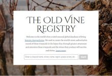 ���Ѿ�����������վ����-welcome����֮����