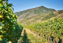 ������ٰ��׸�רע�����Ѿ����ε�չ��-welcome����֮����