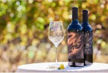 �����Ѿƺ��Һ����Ѿ������������������Ѿ���Ȼռ�����-welcome����֮����