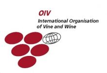 OIV:2024年将举办第45届世界葡萄与葡萄酒大会-welcome海洋之神网