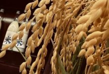 ˫�����������������ʹ������-welcome����֮����