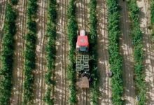 ���ĺ���ɽ��´���ѾƲ���������1��Ķ��ֲ���-welcome����֮����