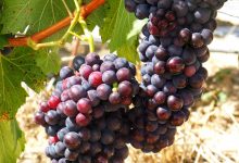 ����ǰ�����Ȱ������Ѿƽ��ڶ���130��-welcome����֮����