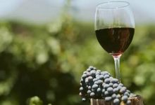 ����ɽ��´���Ѿ�ǰ����������9.1�ڣ�����40������ҵ���-welcome����֮����