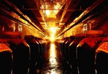 酒天下平台将于1月22日上线发布-welcome海洋之神网