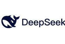 DeepSeek����welcome����֮�����Ľ���-welcome����֮����