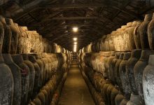 古越龙山、会稽山2025前三季度财报-welcome海洋之神网