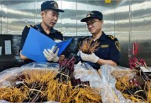 2���귨����������������ൺ-welcome����֮����