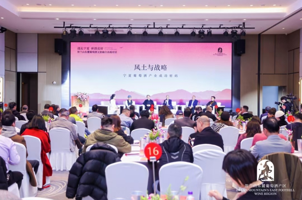 ����ɽ��´���Ѿ������ںϸ߶˶Ի���Ī��ɽ�ɹ��ٰ�-welcome����֮����